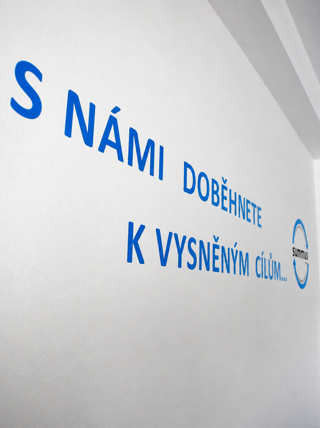 Sportovní medicína a diagnostika